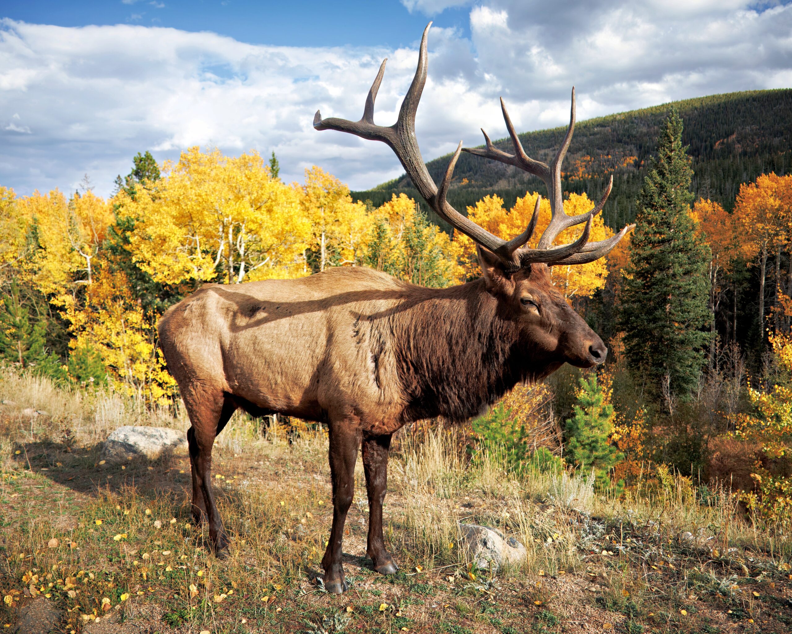 Colorado outdoor recreation