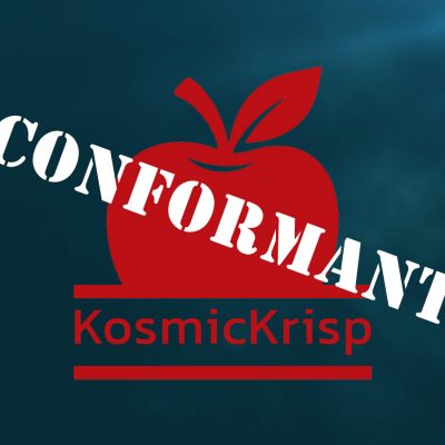 KosmicKrisp Achieves Vulkan 1.3 Conformance
